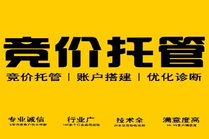 百度广告推广在电商行业的实战案例